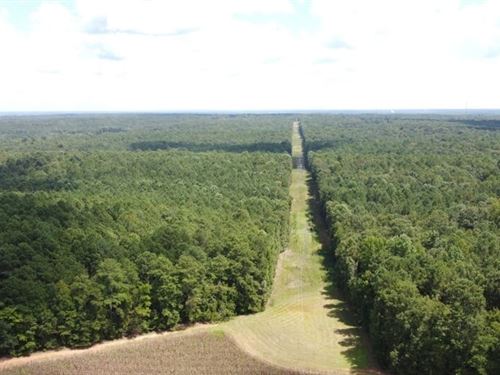 Recreational Acreage, Little Mounta : Little Mountain : Newberry County : South Carolina