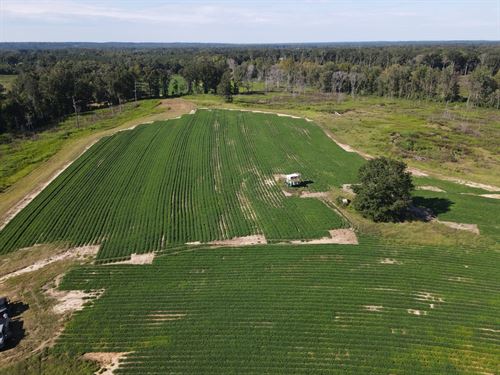 G6 Farms, Tract 7 : Troy : Pike County : Alabama