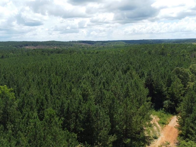 58 Acres Coosa Co : Daviston : Coosa County : Alabama
