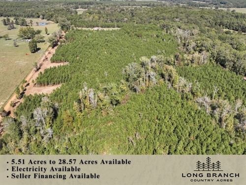 28.57 Acres, CR 3121, T-4 Through : Long Branch : Panola County : Texas