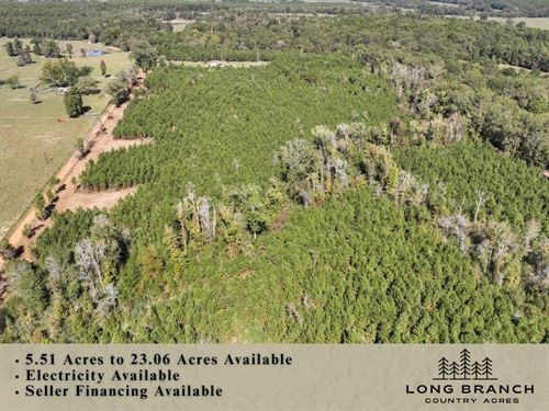 23.06 Acres, CR 3121, T-4 Through : Long Branch : Panola County : Texas