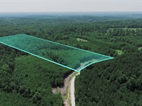 11.6 Acres w Power & Fiber Internet : Dover : Stewart County : Tennessee