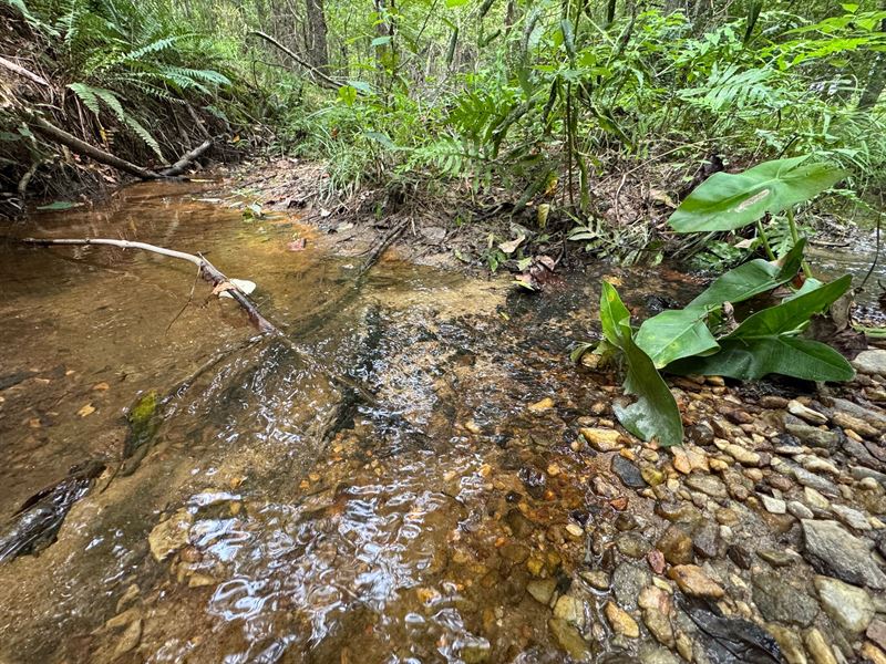 44.95 Acres : Equality : Coosa County : Alabama
