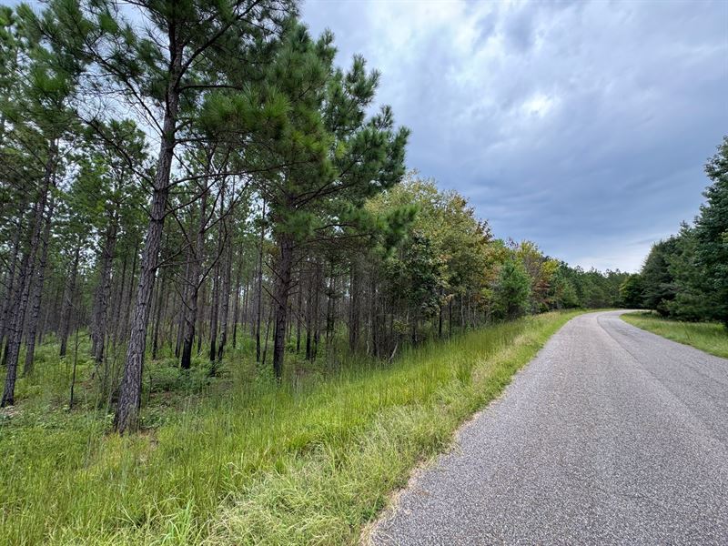 25.83 Acre Mini Farm, Eclectic : Equality : Elmore County : Alabama