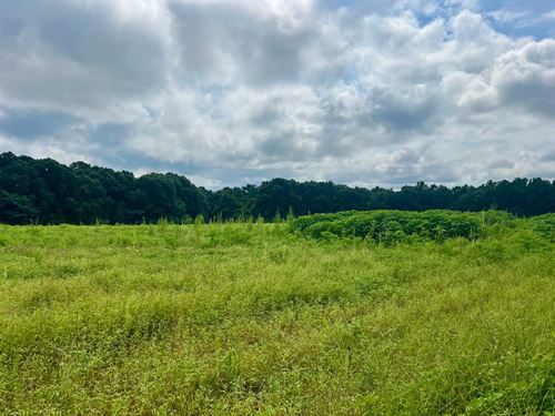 14 Ac CR 218 Mini-Farm, Tract 2 : Jack : Coffee County : Alabama