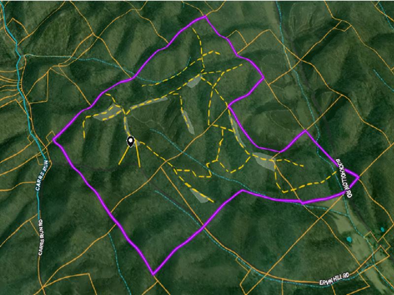 517 Acres in Pike City, Ohio : Beaver : Pike County : Ohio