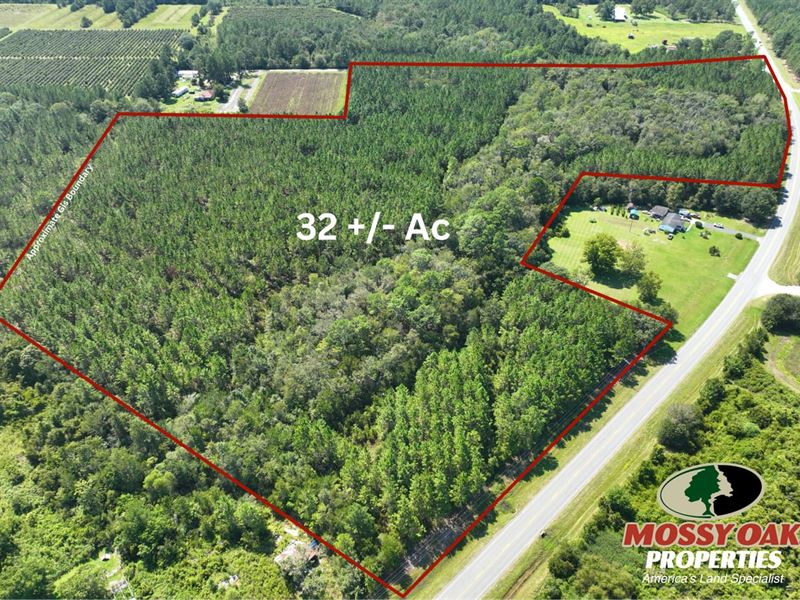 32 Ac Land for Sale Pierce Coun : Bristol : Pierce County : Georgia