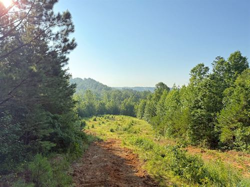 Pleasant Hill 239 : Hackleburg : Marion County : Alabama