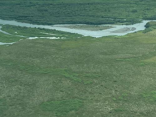 160 Acres of Prime Hunting And Fish : Goodnews Bay : Bethel Borough : Alaska