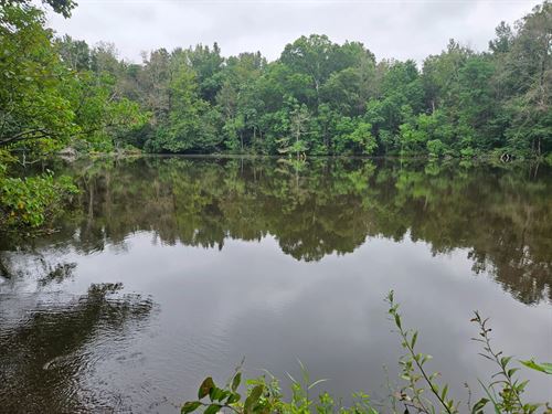 109 Acres of Prime Recreational Lan : Mount Olive : Covington County : Mississippi