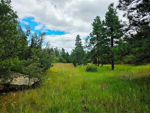 70 Ac, Manufactured Home Arrowhe : Weston : Las Animas County : Colorado