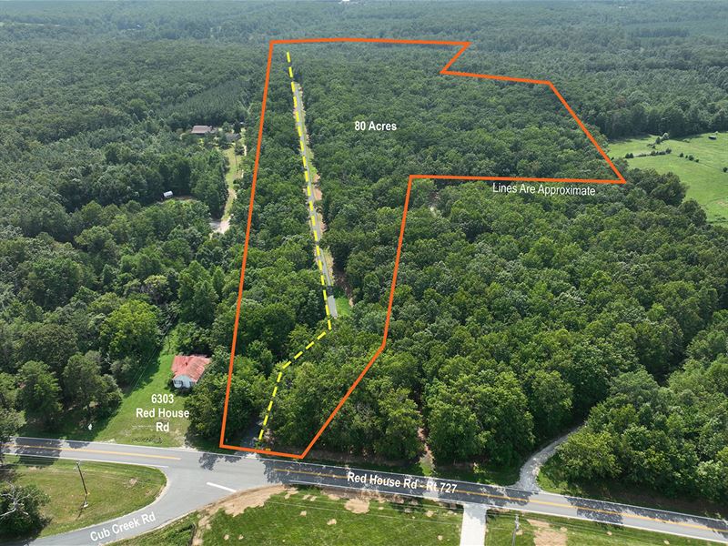 Beautiful 80 Acres in Appomattox VA : Appomattox : Appomattox County : Virginia