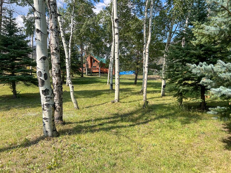 Buckhorn Creek Home : Bellvue : Larimer County : Colorado