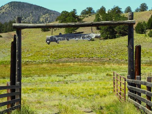 Current Creek Ranch West : Guffey : Park County : Colorado