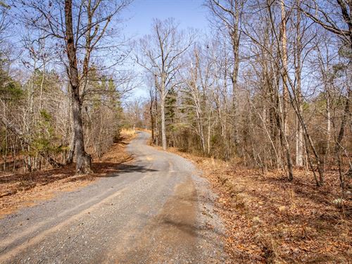 Dennard 157 Acres : Dennard : Van Buren County : Arkansas