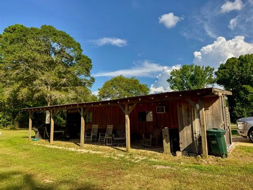 Northeast Lincoln Parish Land : Choudrant : Lincoln Parish : Louisiana