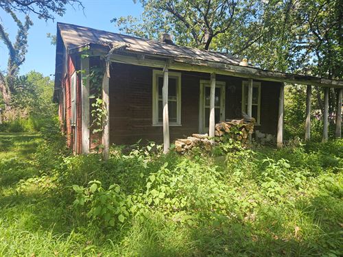 Minifarm with Cottage and Shop : Mountain View : Howell County : Missouri