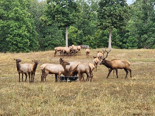 Liberty Ranch Oaks Sportsman Club : Stover : Morgan County : Missouri