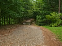 Cattle Ranch Sarapiqui : Sarapiqui : Costa Rica