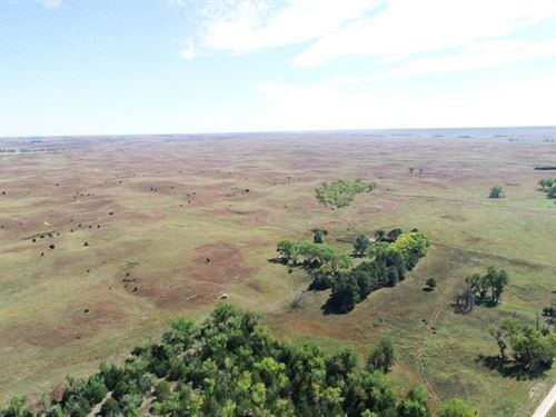 644 Acres, Brown County Pasture : Ainsworth : Brown County : Nebraska