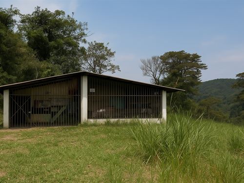 Costa Rica 10.3 Acre Farm : San Ramon : Costa Rica