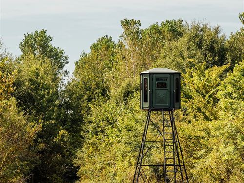 1,004.52 Acres In Mississippi Count : Luxora : Mississippi County : Arkansas