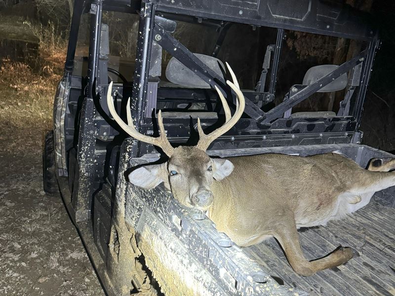 348 Acres in Madison County in Cant : Canton : Madison County : Mississippi