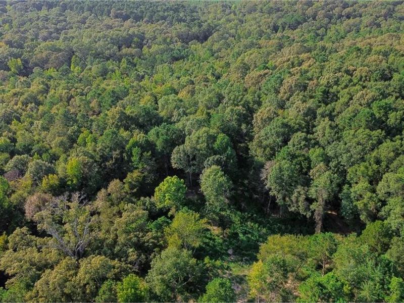 34.50 Acres Residential Land for Sa : Choudrant : Lincoln Parish : Louisiana