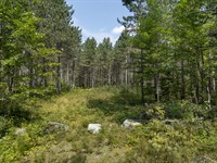 200 Wooded Acres : Pelican : Oneida County : Wisconsin