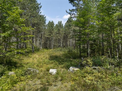 200 Wooded Acres : Pelican : Oneida County : Wisconsin