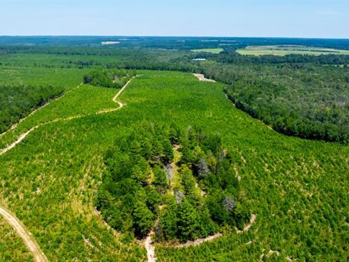 Whitewater Hills : Butler : Taylor County : Georgia