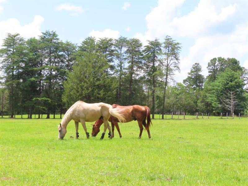 Thorntree Farm : Ridgeway : Fairfield County : South Carolina