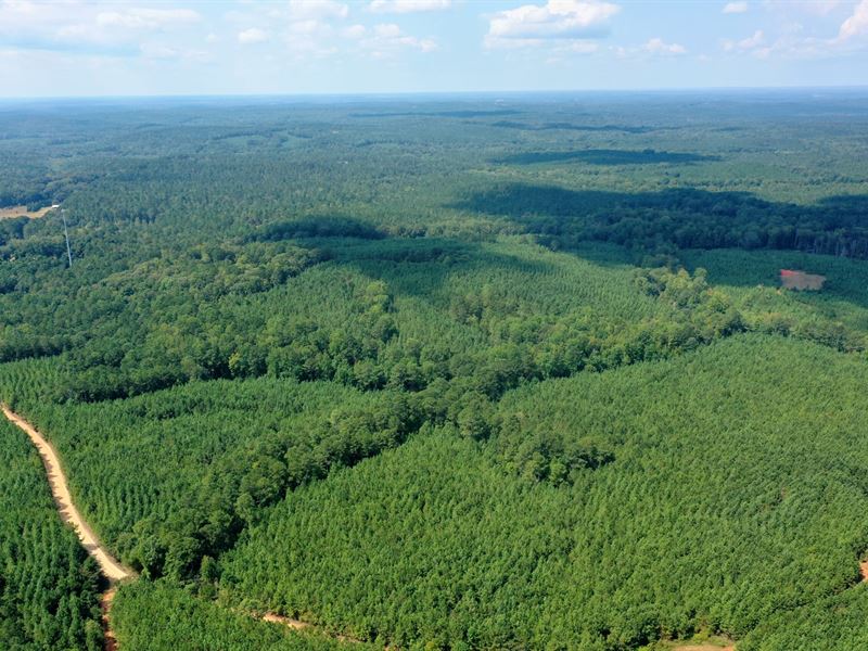 Strickland Road 78 : Franklin : Heard County : Georgia