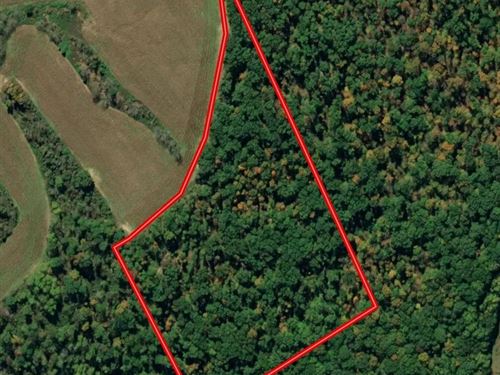19 Wooded Acres Clark County : Marysville : Clark County : Indiana
