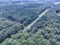 Clay County, Pheba, 68 Acres Hunt : Pheba : Clay County : Mississippi