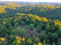 Secluded Nashville Getaway : Pegram : Davidson County : Tennessee