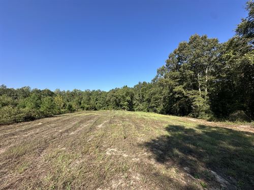 Browder Road Tract, 74 Acres : McKenzie : Conecuh County : Alabama