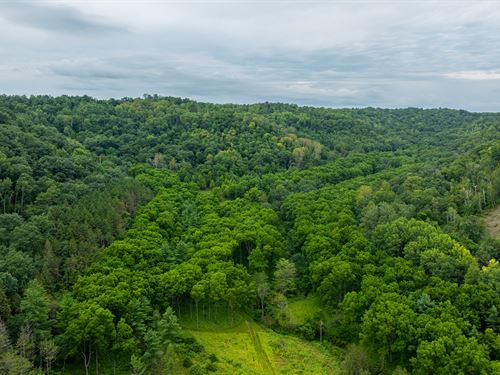 80 Acres Buffalo County : Cochrane : Buffalo County : Wisconsin