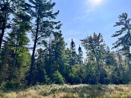Tellefson Lake Acreage : Conover : Vilas County : Wisconsin