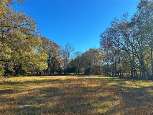 Oscar Walton Cattle Farm : Tignall : Wilkes County : Georgia