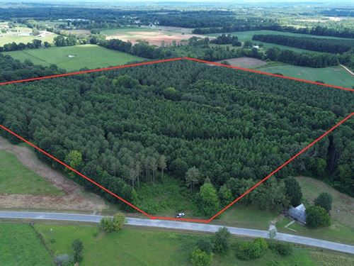 Lawrence County 36 : Town Creek : Lawrence County : Alabama