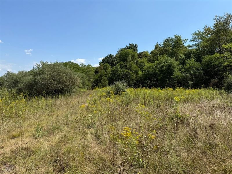 Turkey Knob Property, 90 Acres : Commodore : Indiana County : Pennsylvania