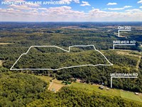 Brewer Rd, 120 Acres : Cadiz : Harrison County : Ohio