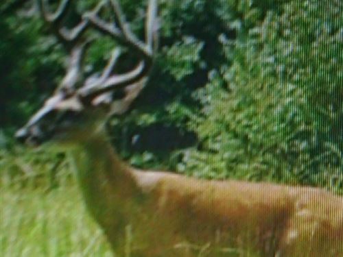 34.1 Acres In Marshall County, MS : Waterford : Marshall County : Mississippi