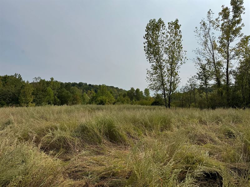 69.69 Acres in Muhlenberg County : Graham : Muhlenberg County : Kentucky