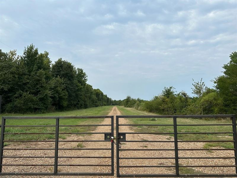 Duck and Deer Hunting Land for Sale : Wisner : Franklin Parish : Louisiana