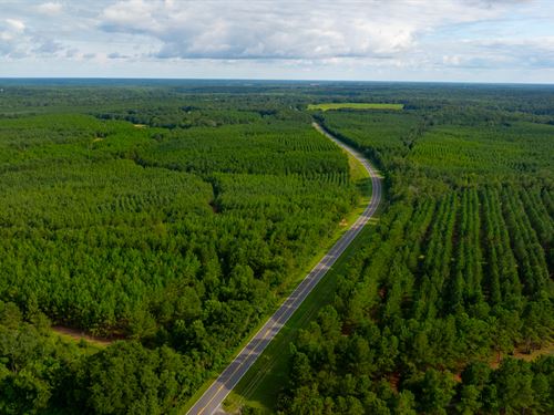 Long Branch West Hunting and Timber : Preston : Webster County : Georgia