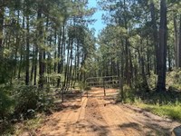 52.84 Acres on Charlie Rhodus Rd : Magnolia : Pike County : Mississippi