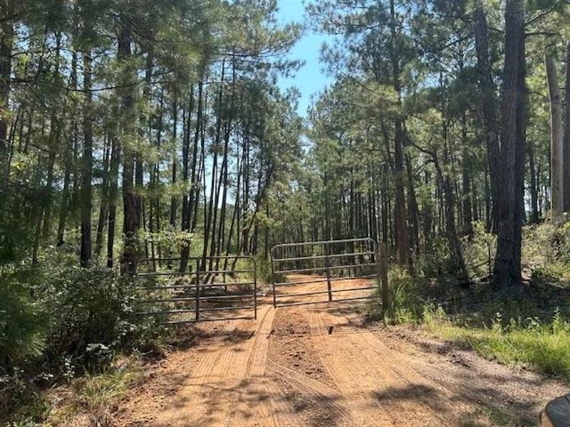 52.84 Acres in Magnolia, Mississipp : Magnolia : Pike County : Mississippi