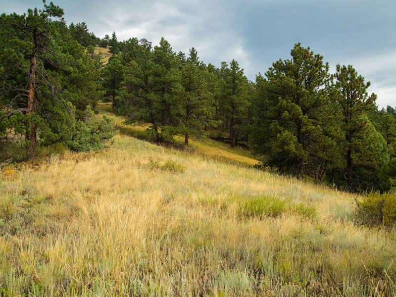 75 Sugarloaf : Boulder : Boulder County : Colorado